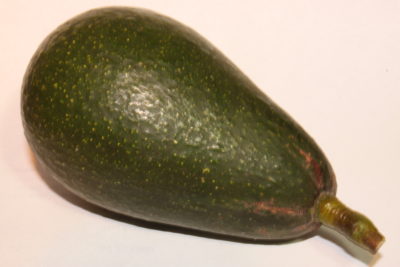 Jan Boyce Avocado