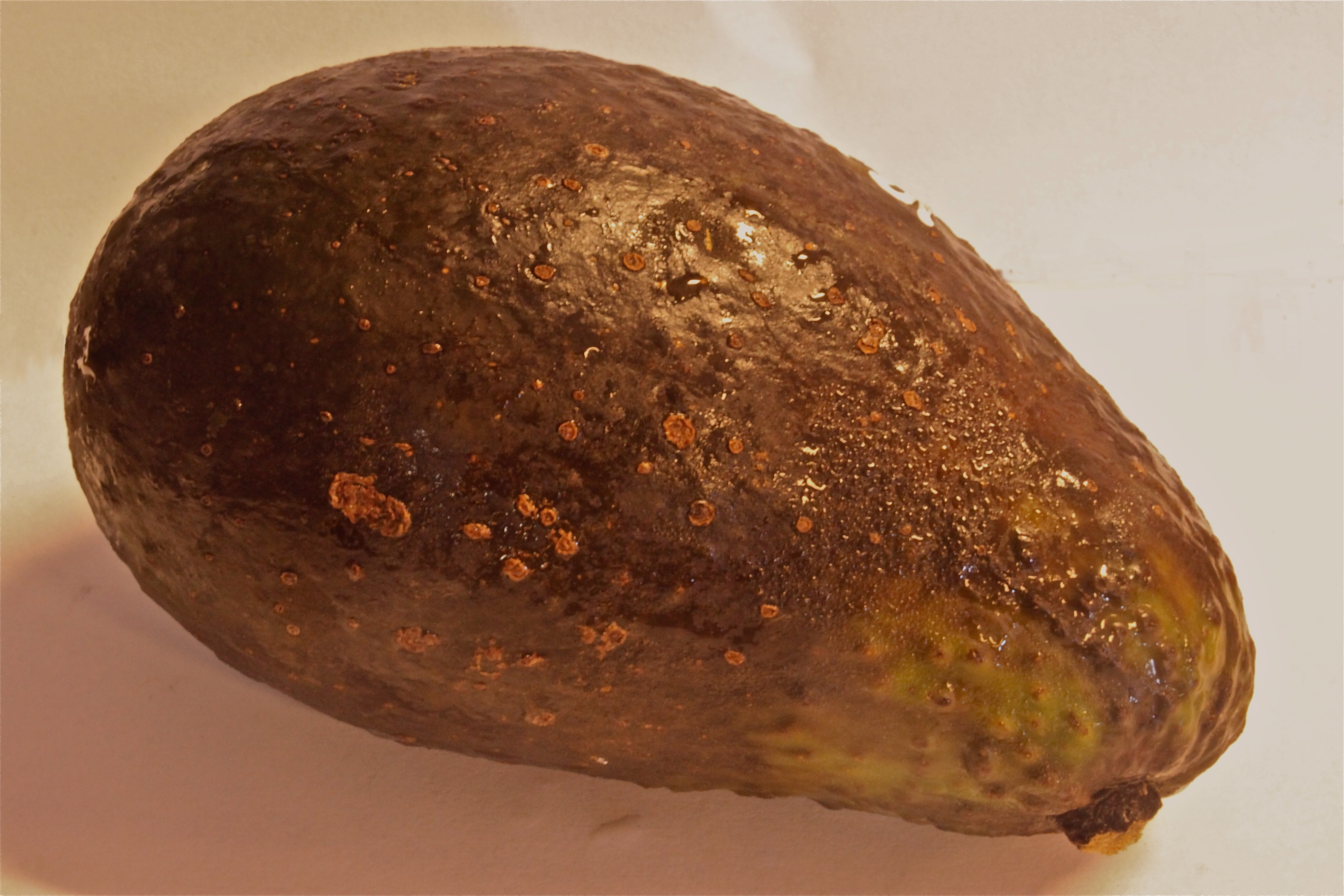 Sharwil (Kona Sharwil)