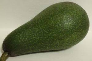 Palo D'Oro Avocado