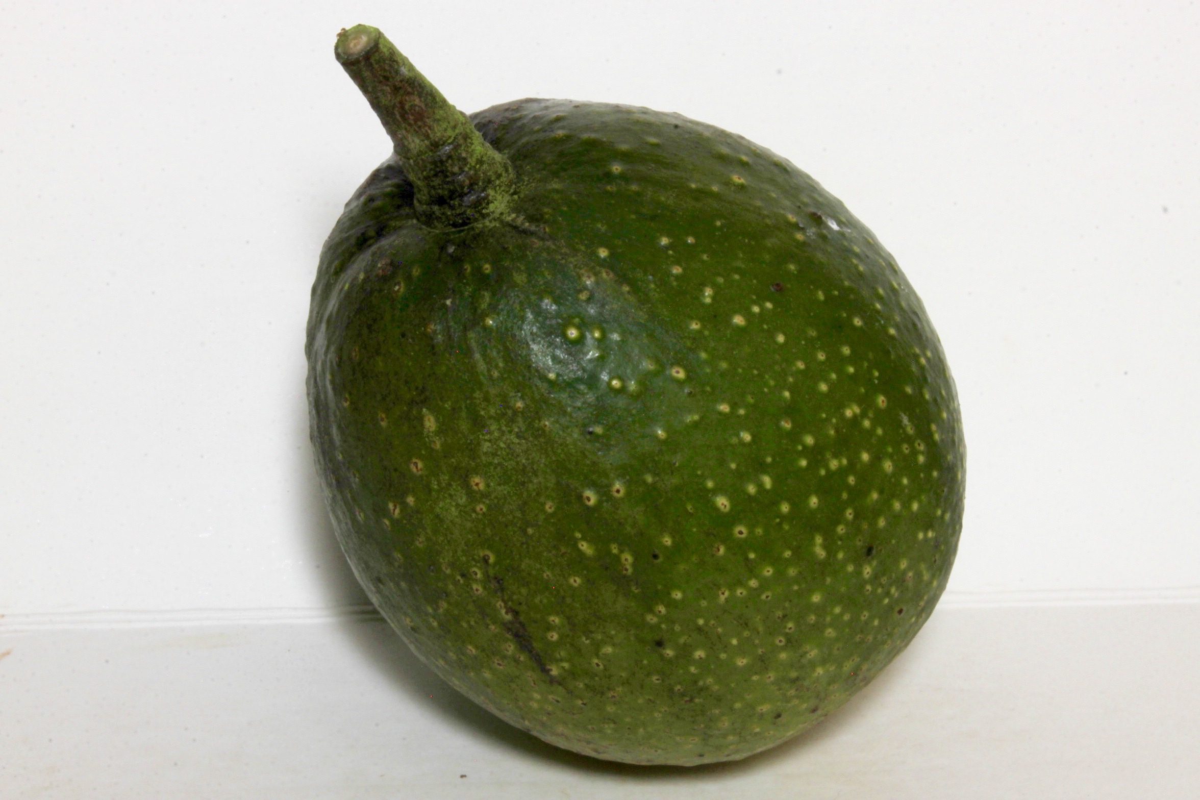 Gwen Avocado