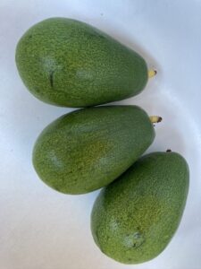 Aravaipa Avocado